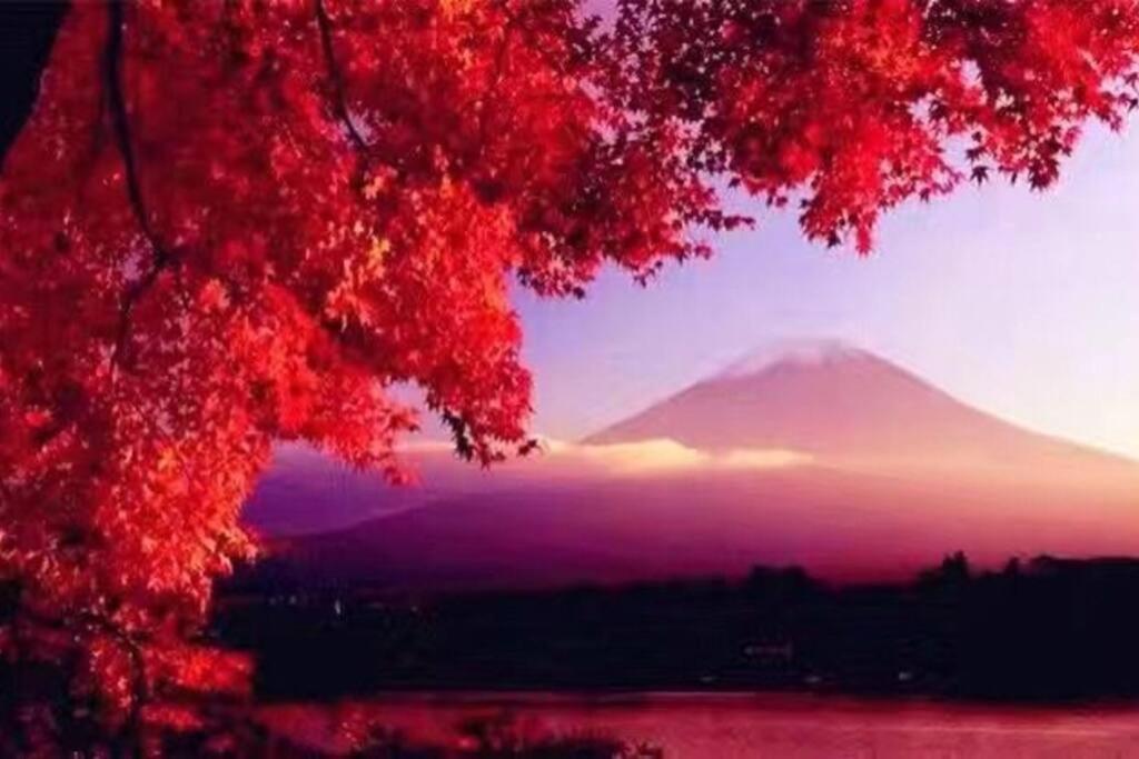 Away From Noise,View Fuji Mt In The Designer House Villa Yamanakako Exterior photo